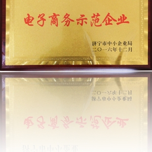 電子商務(wù)示范企業(yè)