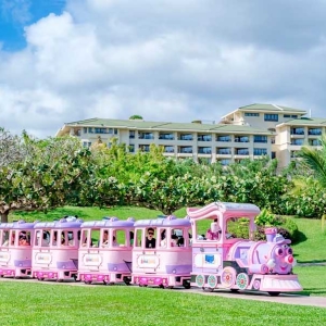 機(jī)械動(dòng)力類